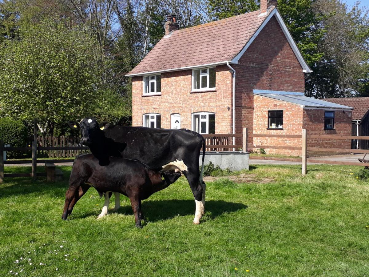 Church Farm, Legbourne Louth Esterno foto